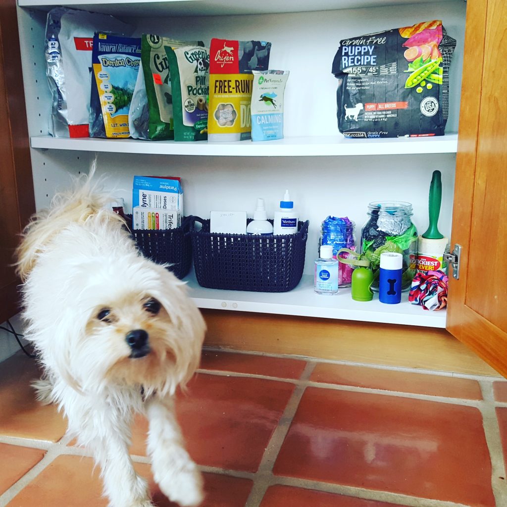 kitchen storage for pets and cute white furry dog in berkeley on Italian clay floor tile Bella Organizing Professional home organizers and residential packing and moving management company serving the San Francisco Bay Area.